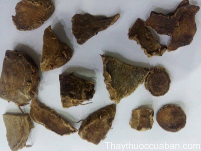 H&igrave;nh ảnh vị thuốc nga truật